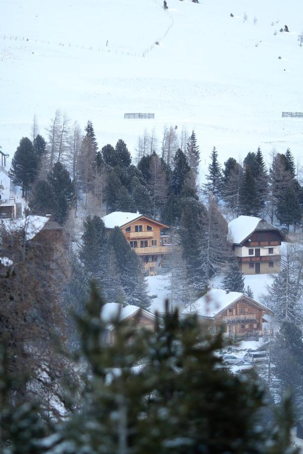 Heidi Chalets Falkert Heidialm - Chalet Almsommer Patergassen エクステリア 写真